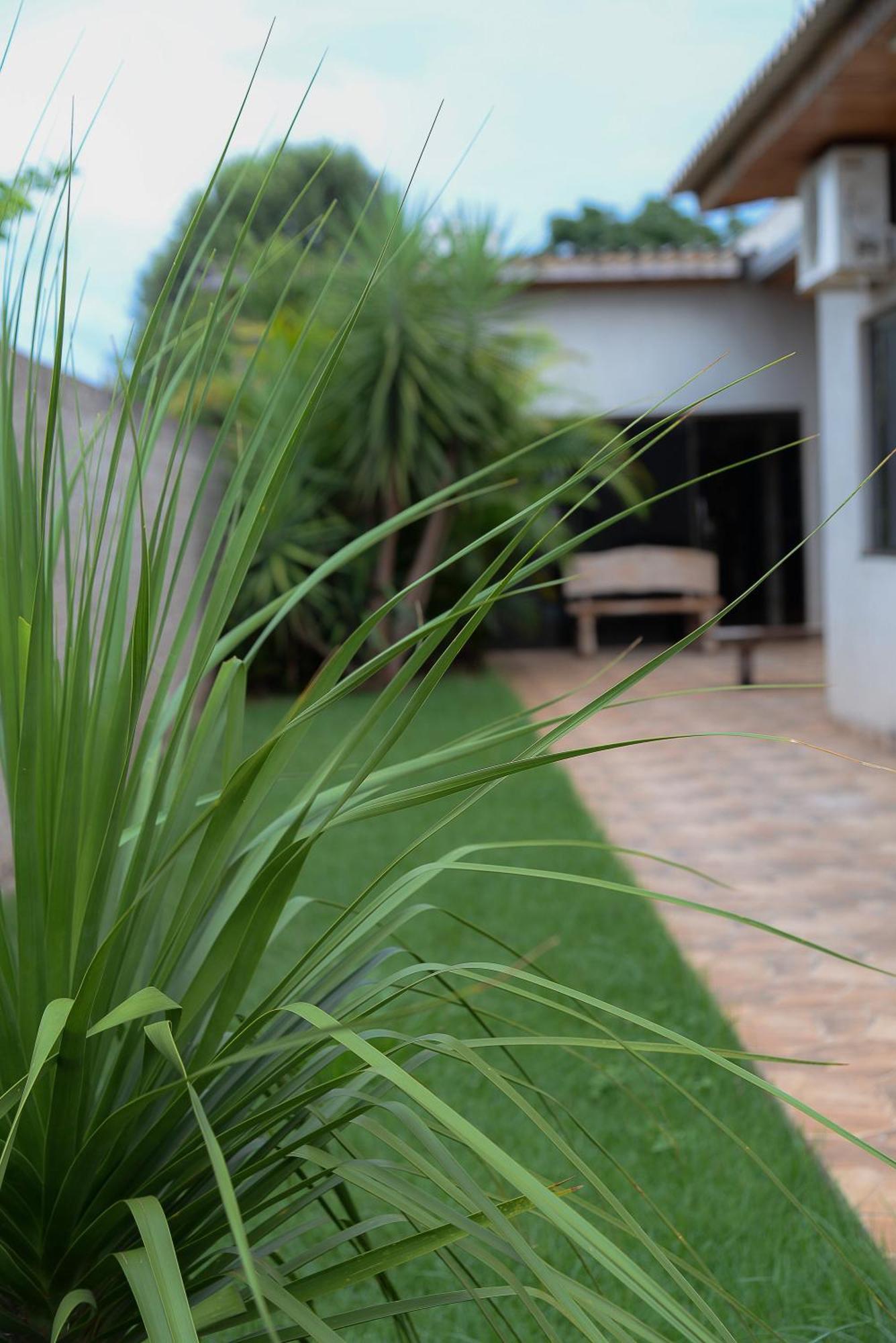 Casa De Campo - 15 Minutos Das Cataratas E Aeroporto - Piscina Com Agua Salgada E Muito Espaco Ao Ar Livre Foz do Iguaçu Exterior foto